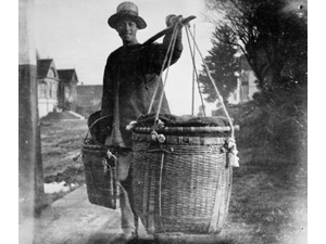 Китайский торговец овощами. 1890 год