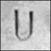 u