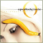 A Perfect Circle: Thirteenth Step